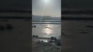 Сотниково Уточкина ПАДЬ))))