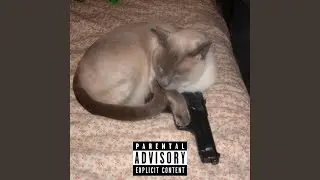 Wheels On The Bus (feat. Sleepy Jay)