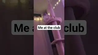 the awkward cat