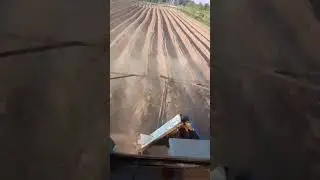 Боронование картошки 2024. #farming#т40ам#т40#зенкевич#трактор#тракторист