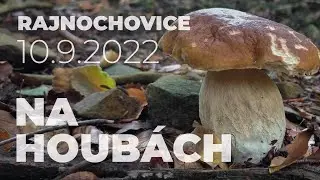 Hříbky - Rajnochovice 10.9.2022