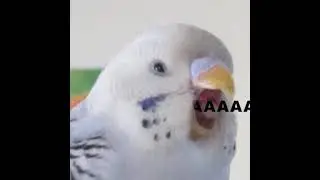 Ееееееее