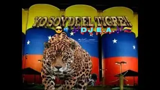Electro Rumba Mix - DJ Ender Alfonzo 2022