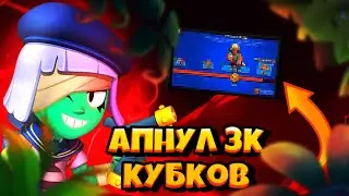 пуш 3к кубков на твинке