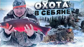 Охота в Себяне. Едем ловить самых больших хариусов на планете. (голец). Часть 3