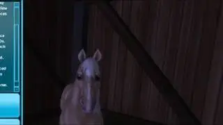 Challenge WENT GOOD | Star Stable part 2