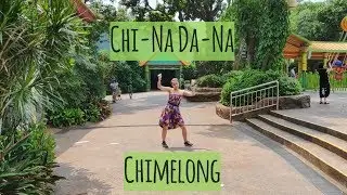 Chi-Na Da-Na - #9 Сафари парк Chimelong. Панды, жирафы и высокое напряжение.