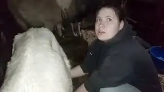 Ура! Пополнение! Окоты начались👋😀
