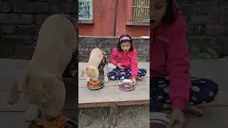 o oo OOO a aa aaa🤣😂