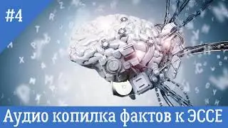 Факт для ЭССЕ по 