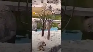 🤣🤣🤣