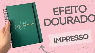 GOLD EFFECT WITHOUT FOIL - COVER FOR A DIARY IN SILHOUETTE STUDIO