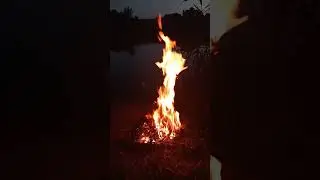 Девственики на барбекю,