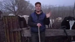 Кто виноват и что делать.