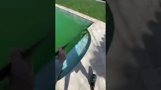 Green Pool Cleaning tiktok premierpoolaz