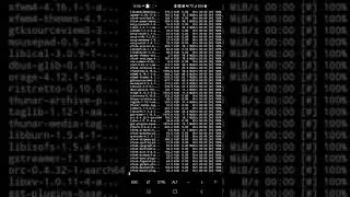 Manjaro Linux Installation On Android