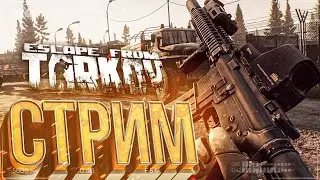 Побег из таркова