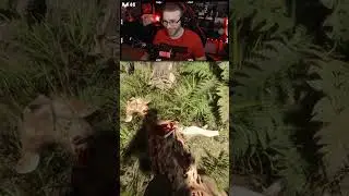 GRENADE + BAMBI= ? | Sons of the Forest 