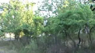 beri toma=mtrebis mier sheracxuli milioneri romelsac sakutari skamic ki ar gaachnia!ai ixilet gtavaz