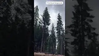 Video of Ice House Campground, CA from Azizah T.