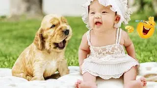 Funniest Animals - Best of the 2021 Funny videos | Funny Dogs and cats videos | Viral Tiktok