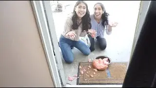 THIS IS WHY WE SHOULD'T BAKE