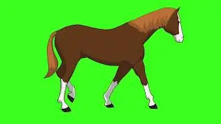 Green Screen Horse Walking Animation 
