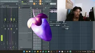 How to Install & Setup FL Studio 20 (Audio Interface)