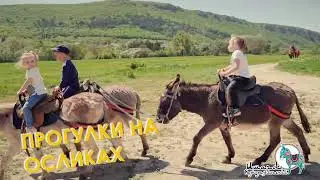 Парк развлечений 