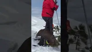 #прикол