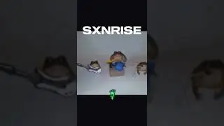 #memphis #phonk #phonkmusic #music #foryou #history #popular #real #sxnrise