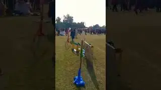big sports day