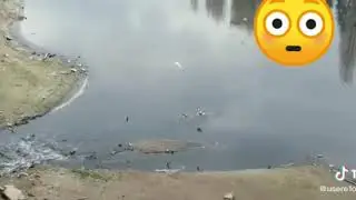 ПОД ШУМОК КАРОНАВИРУСА