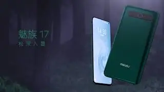 MEIZU 17 - Pine Ink