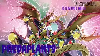 Yu-Gi-Oh! Predaplant Deck Profile + Combo Post DIFO