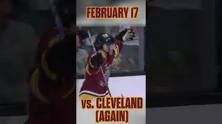 Every ROCCO GRIMALDI Goal from February #chicagowolves  #hockey #goals  #ahl