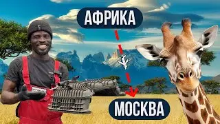 Как африканец попал в Москву | Снятие форсунок на Cayenne | Мойка радиаторов