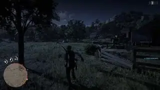 Red Dead Redemption 2_20190116002527