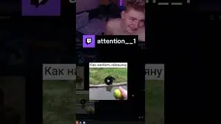 Наебали обязьяну | attention__1 с помощью #Twitch