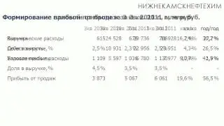 Обзор отчетности Нижнекамскнефтехима