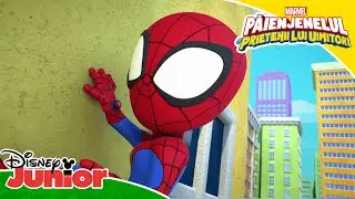 Salvați pisica! | Păienjenelul Marvel și prietenii lui uimitori | Disney Junior România