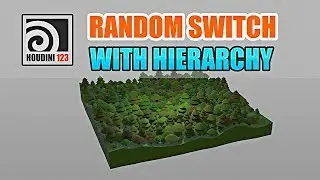 Random Switch With Hierarchy