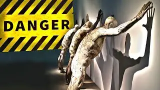 10 High-Risk Creatures of the SCP Foundation