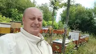 Пасека.Мёд2024.Пригород Харькова.