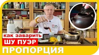 HOW TO BREW SHU PU-ERH: THE RATIO OF WATER AND TEA