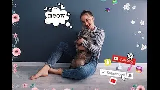 ДЕВОЧКА С КОТОМ ВЗОРВАЛА ИНТРЕРНЕТ!!!😱🤯😂ZAZ-JE VEUX(COVER)