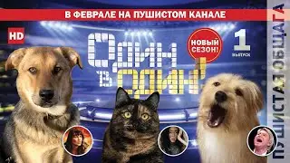 ПУШИСТОЕ ОДИН В ОДИН | 1 серия