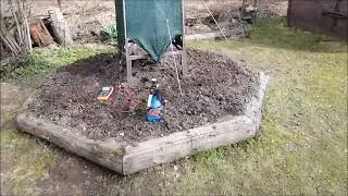 Электрогрядка Почеевского