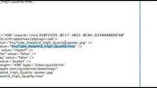 WordPress Embed Quicktime Export To Web
