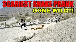 BEST RUBBER SNAKE ATTACK BITE PRANKS